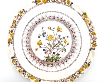 Padrão de botão de ouro de Copeland Spode antigo / vintage / Prato Demi Tasse / Pires
