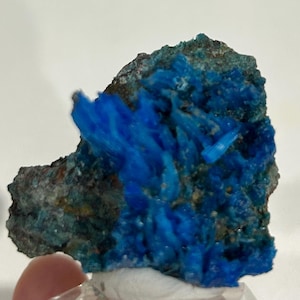 May include: A raw mineral specimen featuring vibrant, electric blue crystalline structures clustered on a dark, textured, greenish-gray rocky matrix. The crystalline formations exhibit a needle-like, elongated shape with varying shades of blue.