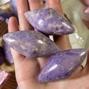 May include: Close-up of several polished, oval-shaped gemstones. The stones are a mix of lavender and white, with a smooth, glossy finish. The gemstones are held in a hand, with other stones visible in the background. The stones are a beautiful shade of purple.