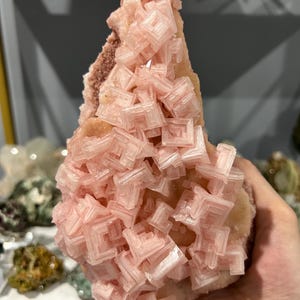 Pink Halite on Trona