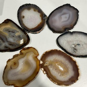 May include: Six polished agate slices arranged in a circular pattern. Each slice features unique natural banding and crystalline centers in shades of brown, gray, white, and translucent tan with rough, dark, and textured outer edges.