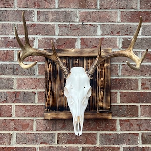 Rustic European Mount Wall Plaque - Torched Wood