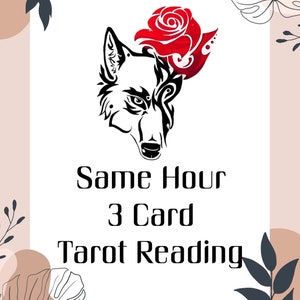 Same Hour 3 Card Tarot Reading