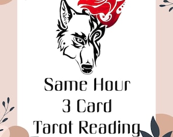 Same Hour 3 Card Tarot Reading