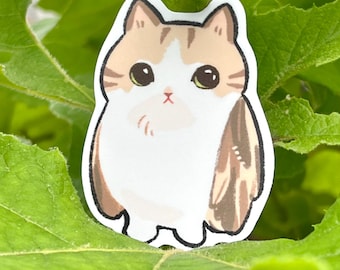 Meowl owl kitty sticker, planner journal gift calendar stationary gift, meme