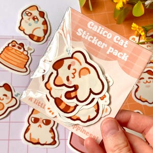Pack d'autocollants chat mignon, lot de memes emotes expression chaton calicot, cadeau stationnaire kawaii