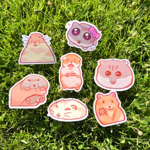 Hamster meme stickers, cute kawaii stationary, TikTok pets funny