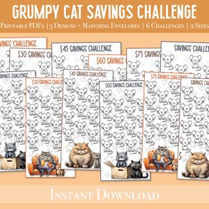 Small Budget Savings | Money Savings Challenge | Daily Savings Challenge Tracker | Savings Challenge | Saving Dollars | Low Budget Savings