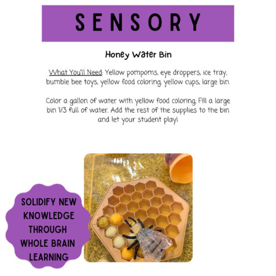 Insect Themed Preschool Activities - Etsy