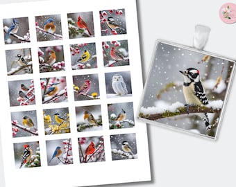 BUNDLE Winter Birds Cabochon | Snow Birds Square Cabochons | Downloadable Printable | Collage Images | (1.5, 1 inch) CABS-642BU