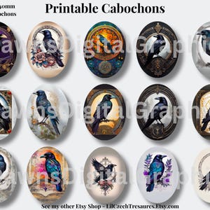 Beautiful Raven Cabochons Oval | Bird Cabochons | Instant Download Printable | Raven Collage Images | (30x40mm) | 1244