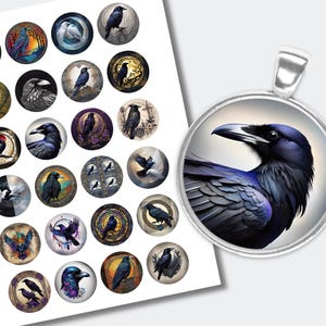 Raven Cabochons Round | Bird Cabochons | Instant Download Printable | Raven Collage Images | (1 inch (25mm) | CABS-1241