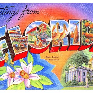 Greetings from FLORIDA - Vintage Postkarte aus den 1930er bis 1940er Jahren - Sofortiger digitaler Download - Druckbar - Hohe Auflösung