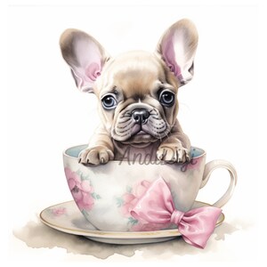 Französische Bulldogge Welpe in einer Teetasse, niedlicher Hund .PNG, Französische Bulldogge Clipart