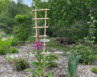Leaf Ladder Trellis Build Plans