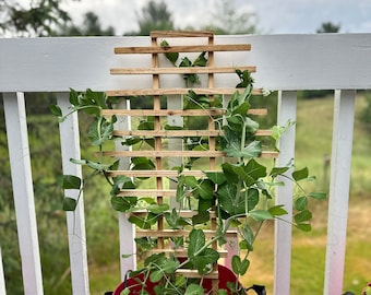 Planter Trellis Build Plans