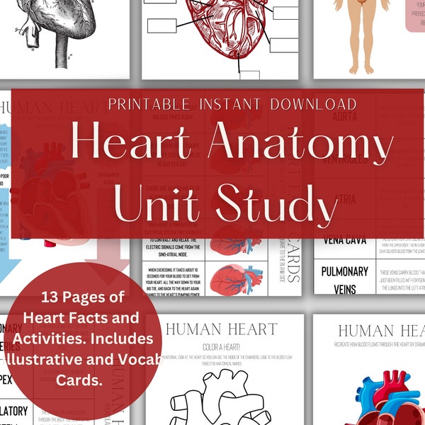 Printable Heart Anatomy Unit Study for Homeschool and Classroom Charlotte Mason Method Printable Course Materials