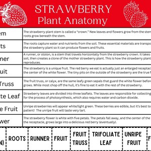 Printable Strawberry Anatomy Unit Study, Spring Botany Lesson