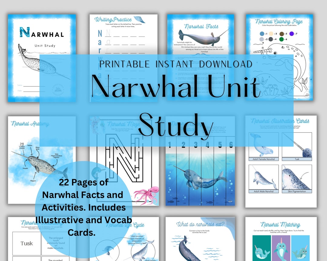 Narwhal Unit Study Instant Download Printable Homeschool Learning ...
