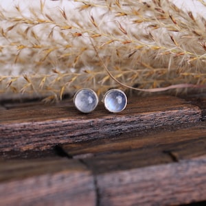 Op de afbeelding: Een paar zilveren oorbel studs met ronde maansteen edelstenen. De oorbellen liggen op een houten oppervlak met gedroogd gras op de achtergrond.