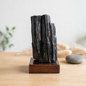 May include: A tall, vertical black tourmaline crystal specimen with a rough, striated texture and natural mineral inclusions, securely mounted on a smooth, rectangular dark brown wooden base for display and stability.