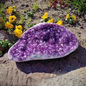 Peut inclure: Une grande géode d'améthyste violette avec un extérieur brut et naturel. La géode est remplie de centaines de petits cristaux d'améthyste scintillants.