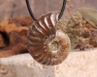 Ammonit Anhänger irisierend | Echtes Fossil | Einzelstück | Schimmernder Fossilien Anhänger | Lederband & Organzasäckchen