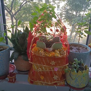 Peut inclure: Un pot décoratif orange et doré avec une plante à l'intérieur, orné d'éléments floraux et d'un voile rouge. D'autres plantes en pot sont visibles en arrière-plan, avec une vue sur les arbres et une fenêtre.