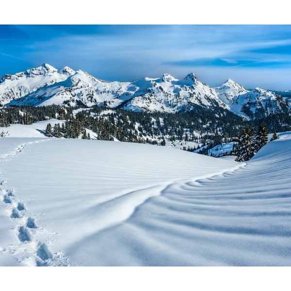 Photograph of Snowshoe Tracks in Snowy Winter Landscape on Mt Rainier with Tatoosh Range Backdrop; Cascade Mountains, Washington Scenic