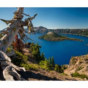 Photograph of Ancient Weathered Tree Framing  Wizard Island and Crater Lake Volcano&#39;s Deep Blue Waters, Oregon, Cascade Mountain Scenic
