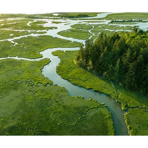 Aerial Photograph of Lush Nisqually River Delta Estuary on South Puget Sound, National Wildlife Refuge, Washington Coast, Pacific Northwest