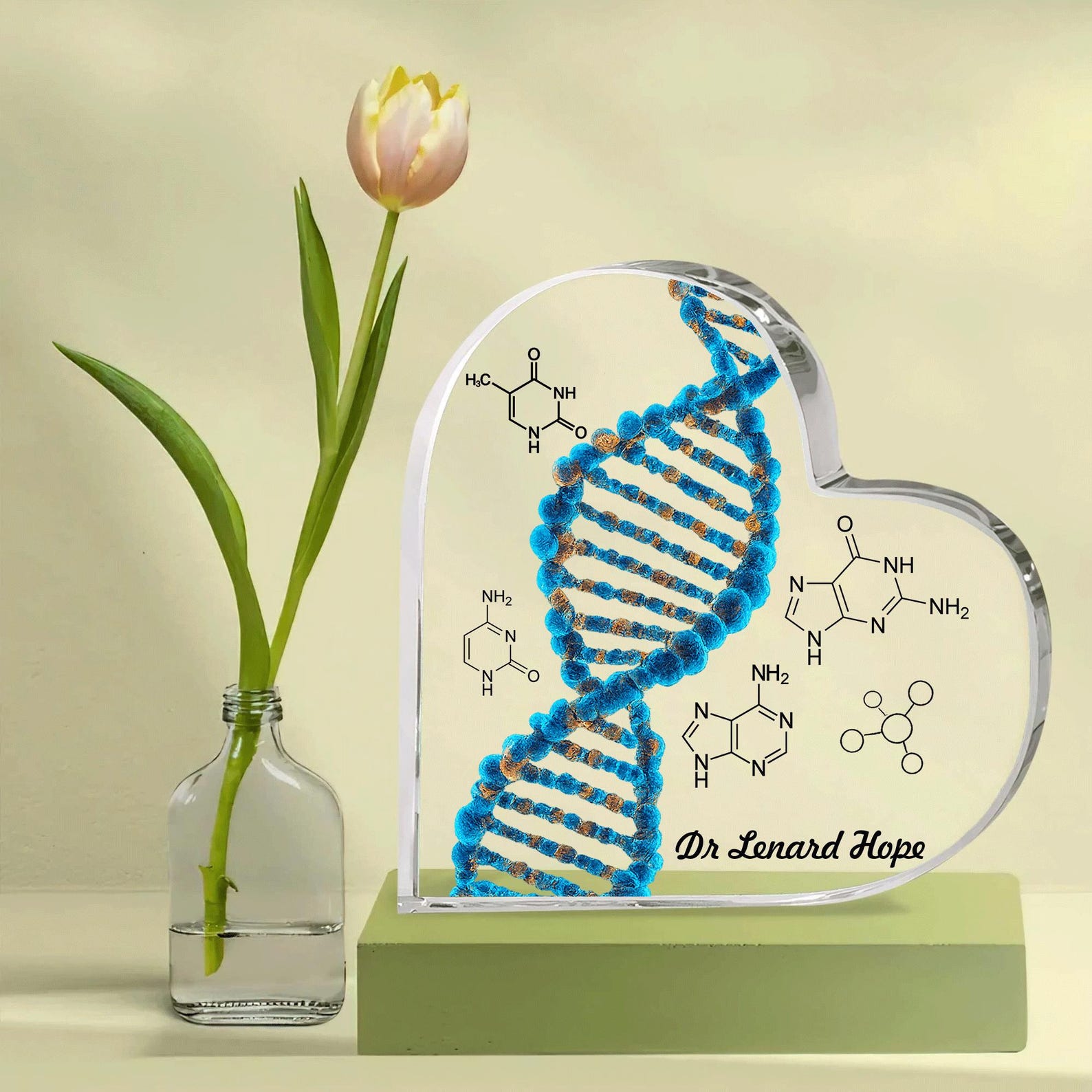 Personalized DNA Custom Shape Acrylic Blocks, Biology Science Gift for ...