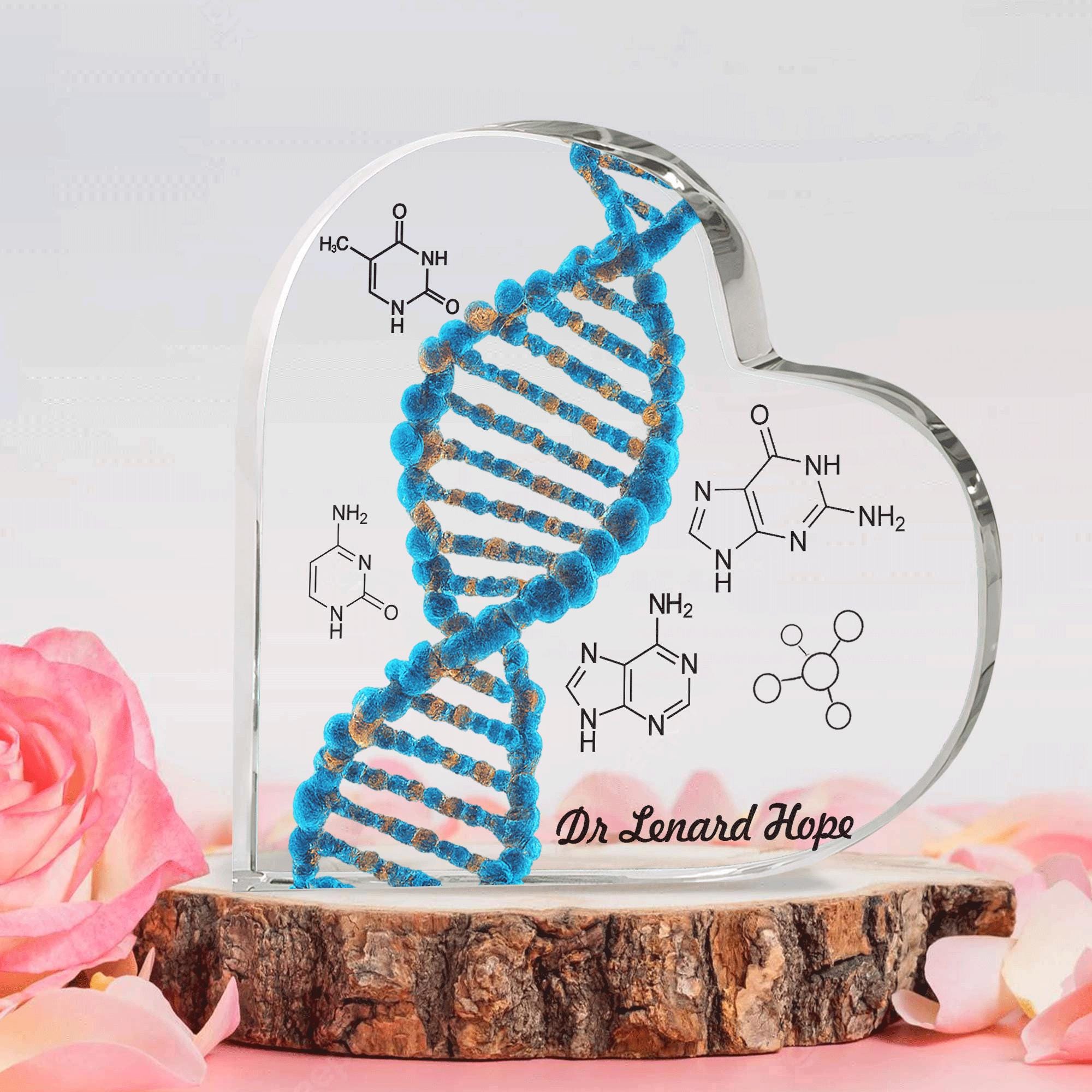 Personalized DNA Custom Shape Acrylic Blocks, Biology Science Gift for ...