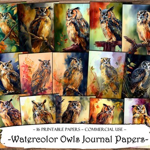 Watercolor Owls Journal Papers, Scrapbooking Pages, Junk Journal Pages, Ephemera, Scrapbook Supplies, Junk Journal Kit, Digital Paper, Craft