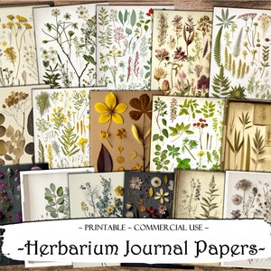 Papiers de journal d’herbier, pages de scrapbooking, pages de journal indésirable, éphémères, journaux indésirables, fournitures de scrapbooking, papier numérique, artisanat en papier