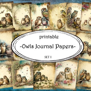 Druckbare Eulen Journal Papiere, Scrapbooking Seiten, Junk Journal Seiten, Ephemera, Junk Journals, Scrapbook Zubehör, Digitales Papier, Scrapbook