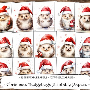 Papéis de ouriços de Natal, papéis para impressão, papéis digitais, kit de diário de lixo, scrapbooking, suprimentos para scrapbook, coisas efêmeras, fabricação de cartões