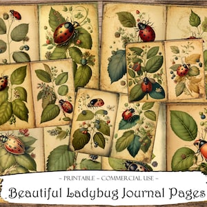 Belles pages de journal de coccinelle, kit de journal indésirable, fournitures de journalisation, pages de scrapbooking, pages de journal indésirable, éphémères, fournitures de scrapbooking