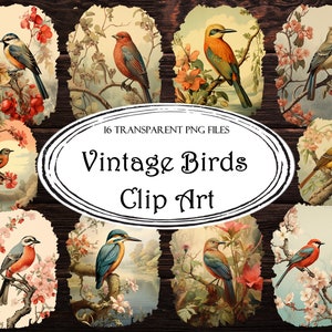 Vintage clipart oiseau : 16 images PNG pour le scrapbooking (téléchargement numérique)