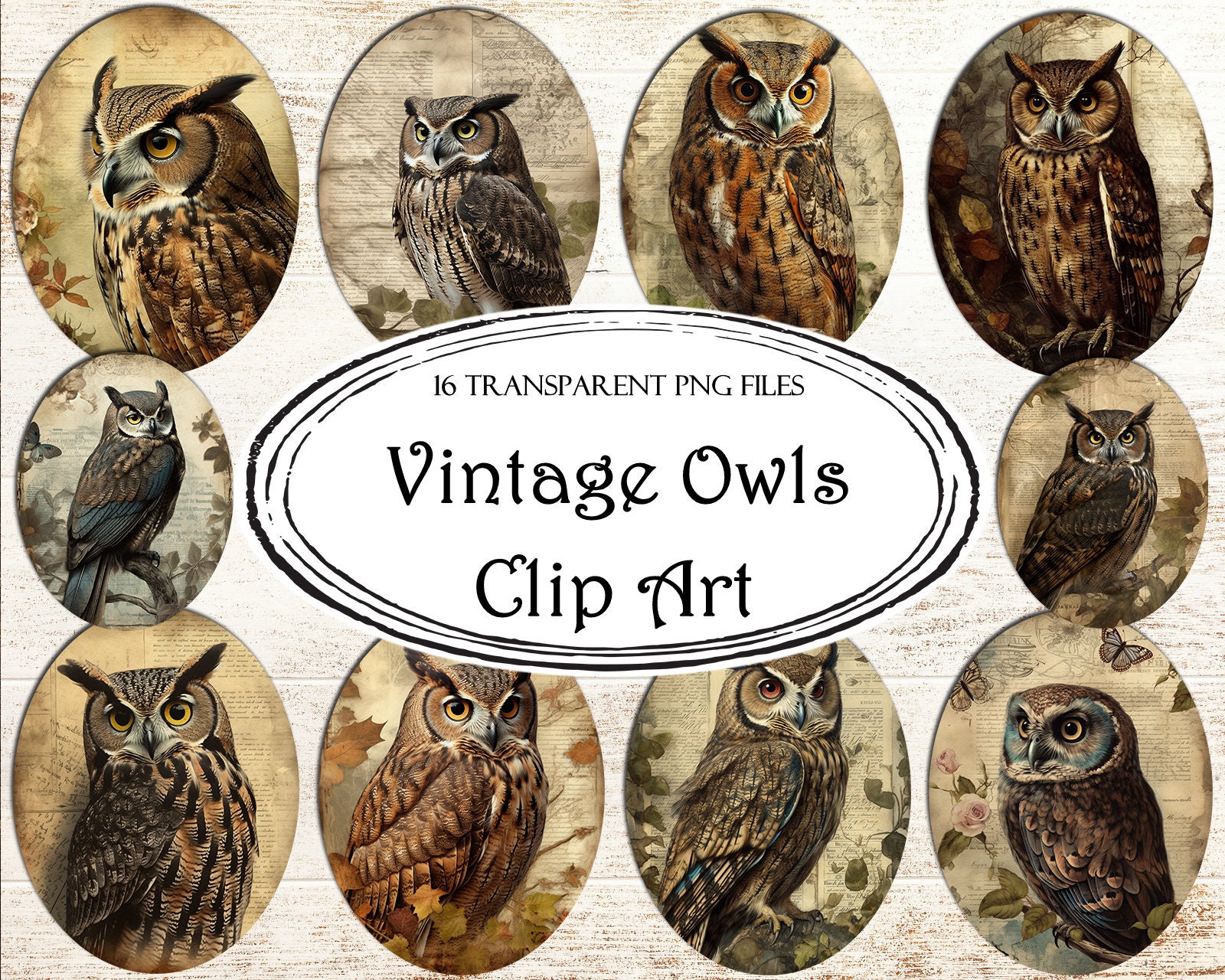 Vintage Owls Clip Art, PNG Files, Transparent PNG, Clipart Graphics, Digital Scrapbooking, Junk Jour