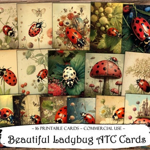 Bella Coccinella ATC Cards, Junk Journal Cards, Carta digitale, Carte di journaling stampabili, Download digitale, Scrapbooking, Ephemera, Craft