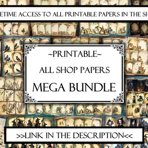 May include: A collage of digital paper designs for scrapbooking and crafting. The papers feature various themes, including birds, flowers, and whimsical characters. The text on the image reads "Lifetime access to all printable papers in the shop -Printable- All shop papers Mega Bundle >>Link in the description<<"