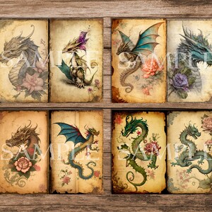 May include: Six vintage-style illustrations of dragons with floral accents. Each illustration features a different dragon design with varying colors and poses. The illustrations are set against a background of aged paper.