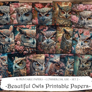 Bellissimi gufi documenti stampabili, diario spazzatura, oggetti effimeri stampabili, carta digitale, scrapbooking, download digitale, creazione di carte, artigianato con la carta