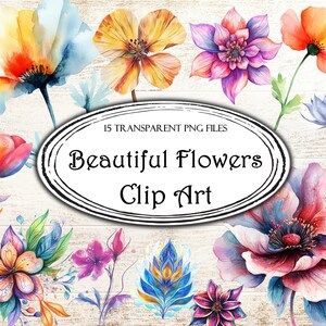 Belles fleurs Clip Art, fichiers PNG, PNG Transparents, graphiques Clipart, scrapbooking numérique, éléments, usage commercial, autocollants numériques