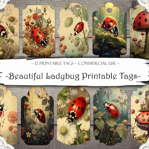 Etichette del diario spazzatura di Ladybug, etichette stampabili, forniture per diario spazzatura, forniture per Scrapbooking, Ephemera, carta stampabile, etichette stampabili, artigianato