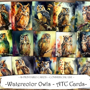 May include: Set of 16 printable watercolor owl illustrations. The owls are depicted in various poses and colors, with a watercolor background. The cards are perfect for crafting, scrapbooking, or adding a touch of nature to your projects.