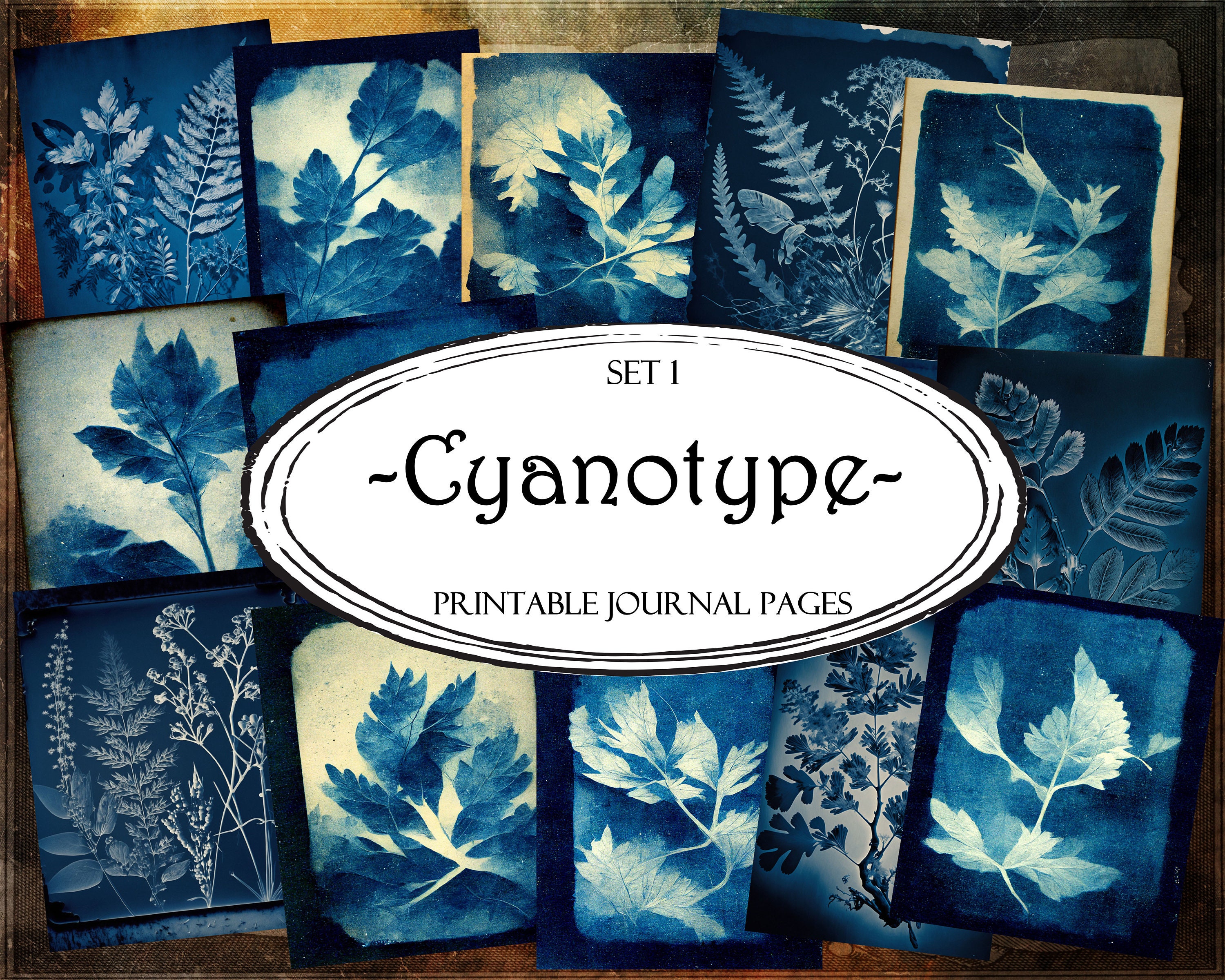 Cyanotype Stencil Kit , Sun Printing Kit Butterfly Edition 