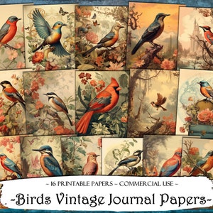 Birds Vintage Journal Papers, Scrapbooking Pages, Junk Journal Pages, Ephemera, Junk Journals, Scrapbook Supplies, Digital Paper, Scrapbook