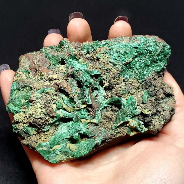 Bisbee Arizona Fibrous Malachite Specimen, Fibrous Malachite, Display Specimen, Vintage, Crystal, Historic, Mineral Specimen, Rare Gems